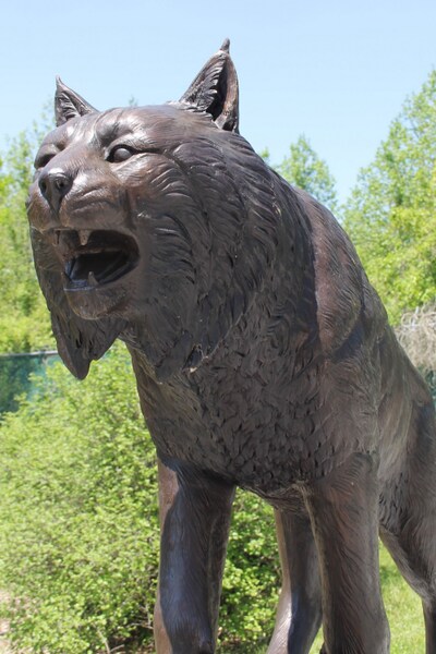 Bob Cat Bronze Sculpture Wild lion Statue Cast Artwork Mascot Custom